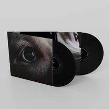 Vinyl DARK SIDE OF THE MOON REDUX