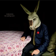 Tindersticks, CD THE WAITING ROOM