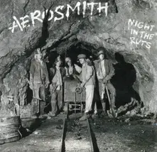 Night In The Ruts thumbnail