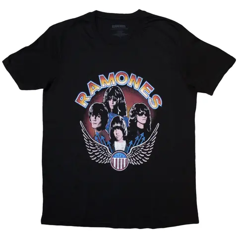 Vintage Wings Photo