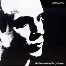 Vinyl BEFORE AND AFTER SCIENCE