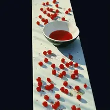 MCCARTNEY thumbnail