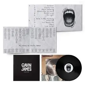 Gavin James – Goldrush (Vinyl)