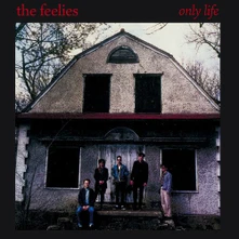 The Feelies, CD ONLY LIFE