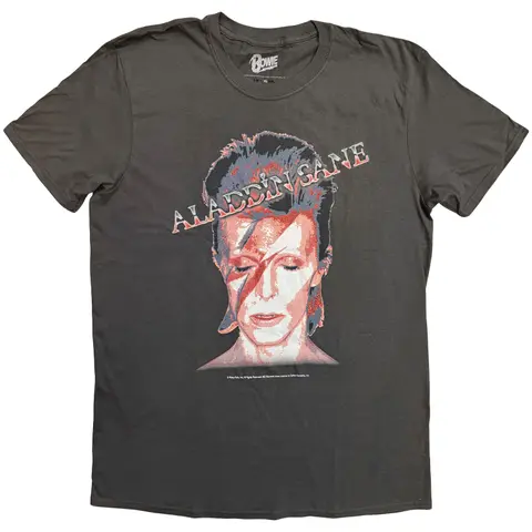 Aladdin Sane