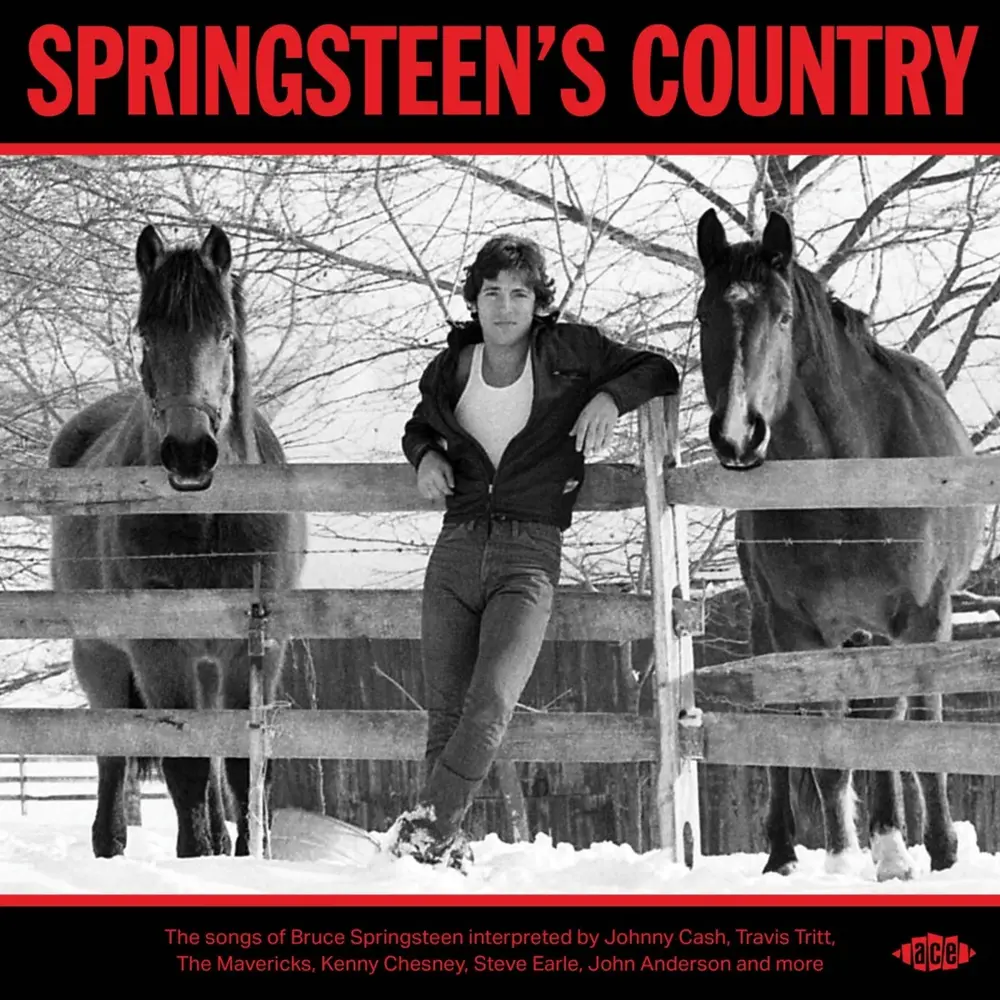 SPRINGSTEEN'S COUNTRY