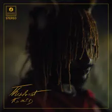Thundercat - It is What It is thumbnail