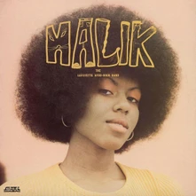 Lafayette Afro Rock Band, Vinyl ROCK BAND - MALIK
