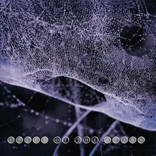 CD SPEED OF THE STARS