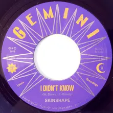 Vinyl Skinshape - I Didn't Know
