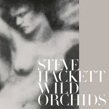 Wild Orchids (Vinyl Re-Issue 2023) thumbnail