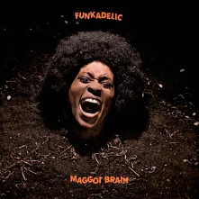 Vinyl Maggot Brain (Peach Vinyl)