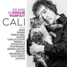 20 ANS DAMOUR PARFAIT thumbnail