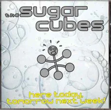 CD SUGARCUBES - HERE TODAY, TOMORROW NEXT WEEK!