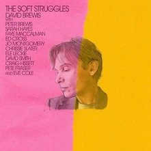 David Brewis, Vinyl SOFT STRUGGLES
