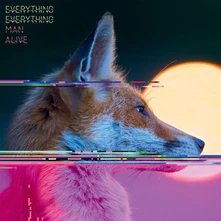 Everything Everything, Vinyl EVERYTHING EVERYTHING - MAN ALIVE