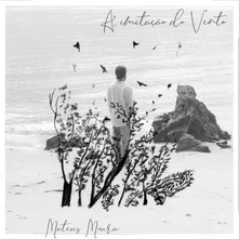 Vinyl A IMITACAO DO VENTO
