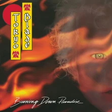 CD BURNING DOWN PARADISE