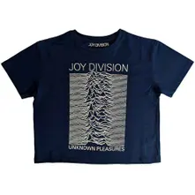 Unknown Pleasures thumbnail