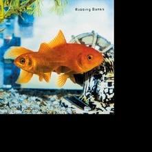 Robbing Banks, Vinyl THIS & THAT -10"-