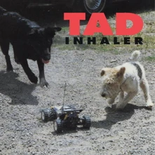 Tad, Vinyl Inhaler