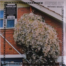 Vinyl DAYLIGHT SAVINGS
