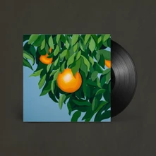 Tyler Ballgame, Vinyl FOR THE FIRST TIME, AGAIN