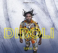 CD DIBOLI