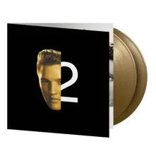 Vinyl 2nd To None