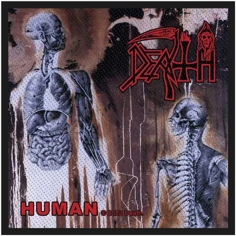 Human