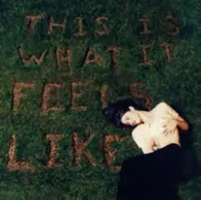 Vinyl THIS IS WHAT IT FEELS LIKE