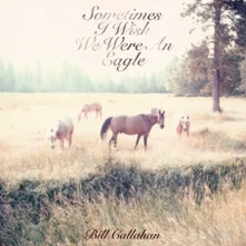 Bill Callahan, CD CALLAHAN, BILL - SOMETIMES I WISH WE WERE