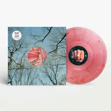 Vinyl GLEAN