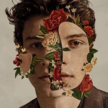 CD SHAWN MENDES