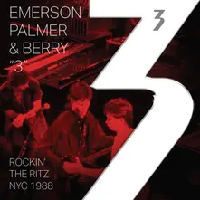 Vinyl ROCKIN' THE RITZ NYC 1988