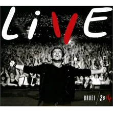 Patrick Bruel, CD Live 2014
