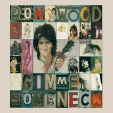 Ronnie Wood, CD GIMME SOME NECK