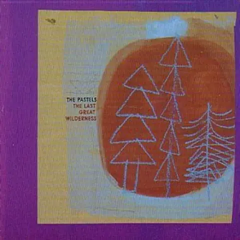 The Pastels – Vinyl LAST GREAT WILDERNESS