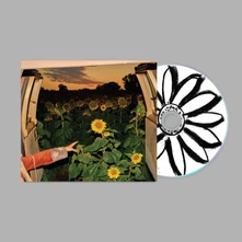 CD LITTLE WIDE OPEN