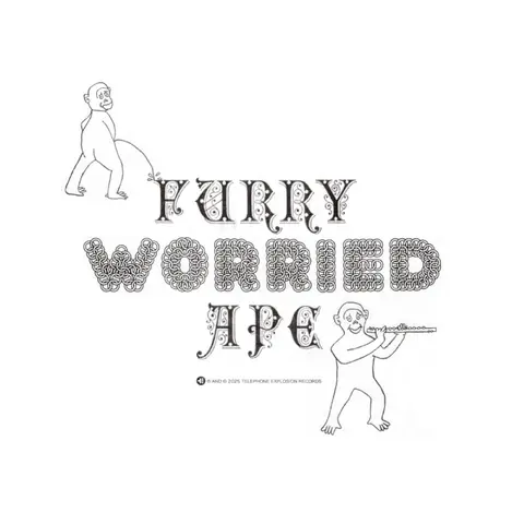 FURRY WORRIED APE