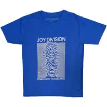 Unknown Pleasures thumbnail