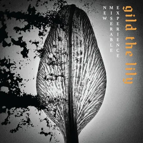 New Miserable Experience – CD Gild the Lily
