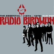 CD THE ESSENTIAL RADIO BIRDMAN 1974-1978
