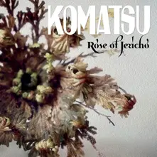 CD ROSE OF JERICHO