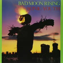 Vinyl BAD MOON RISING