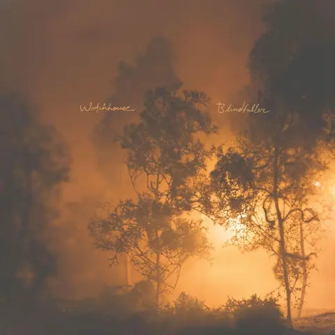 Watchhouse – CD BLINDFALLER