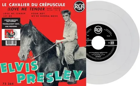 7-LE CAVALIER DU CREPUSCULE