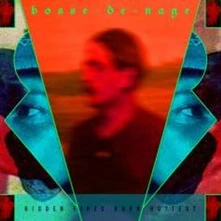 Bosse-de-nage, Vinyl Hidden Fires Burn Hottest