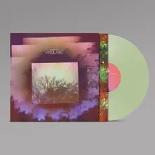 Midlake, Vinyl A BRIDGE TO FAR