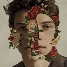 SHAWN MENDES thumbnail